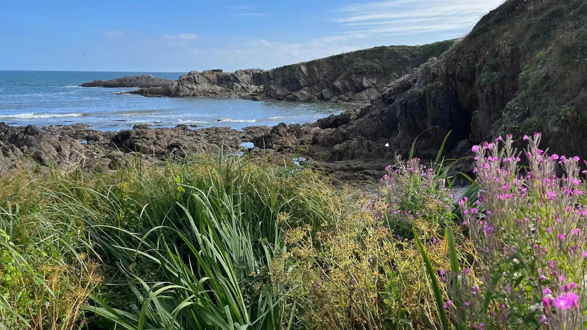 Gite Cosy Sur Jardin Vila Moëlan-sur-Mer Casa de Férias