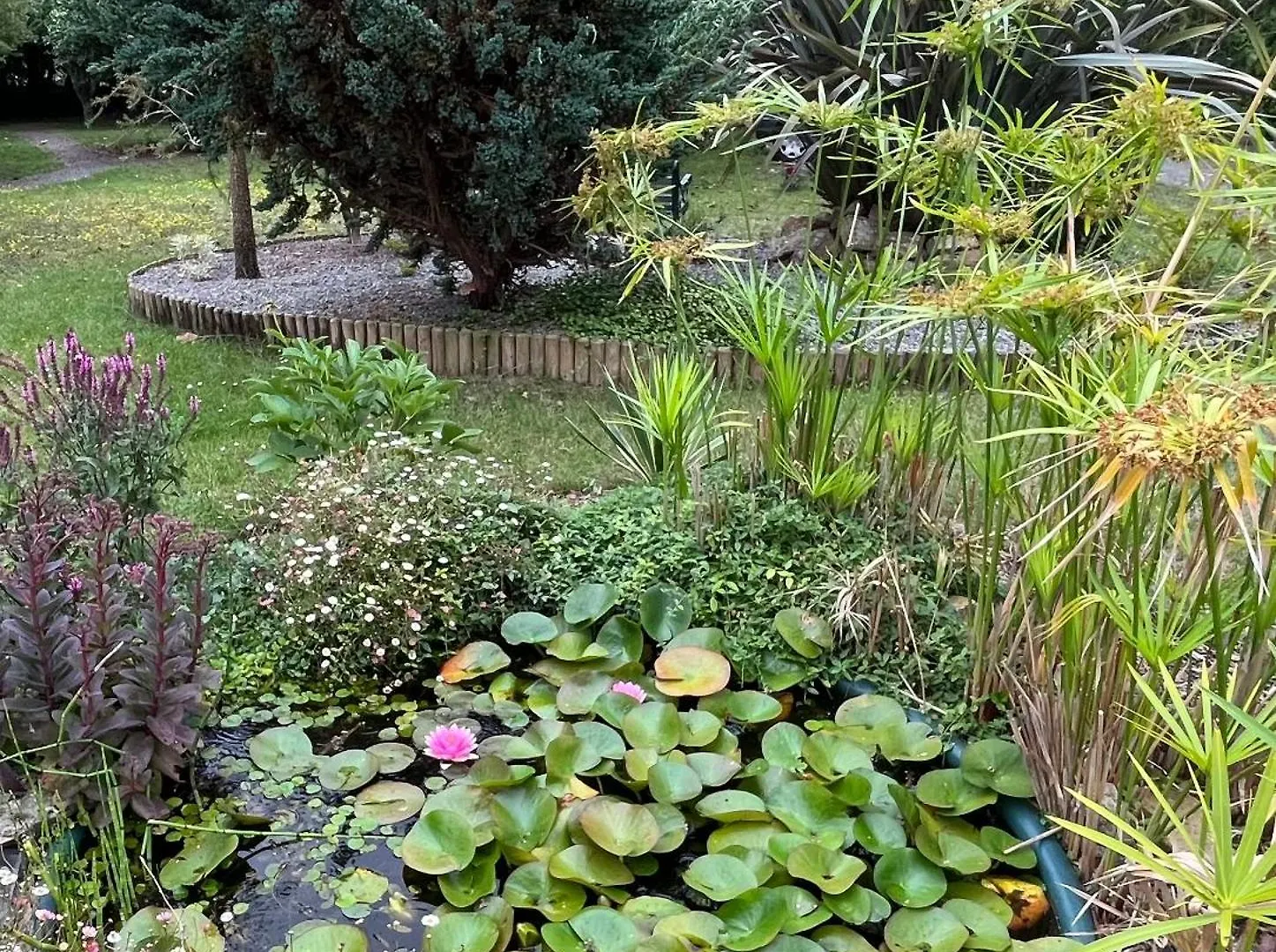 Gite Cosy Sur Jardin Vila Moëlan-sur-Mer 0*,