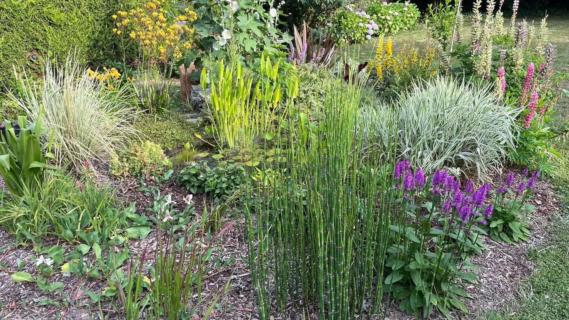 Gite Cosy Sur Jardin Moëlan-sur-Mer Francie